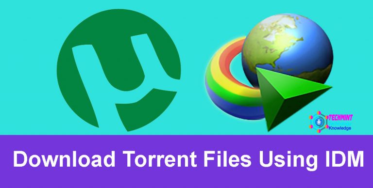 Download Torrent Files Using IDM