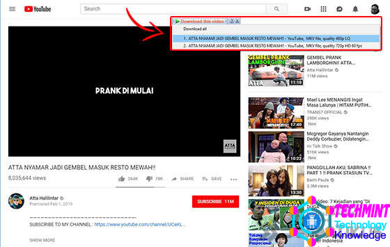 kenapa download video pake idm format mkv