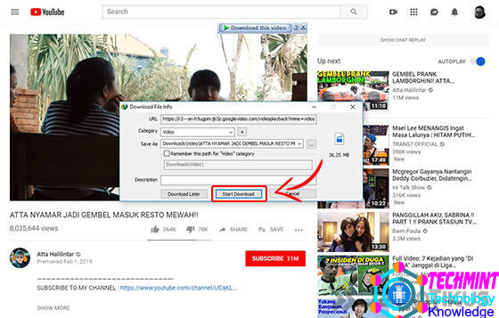 How to Download YouTube Videos on a Laptop via the IDM Button