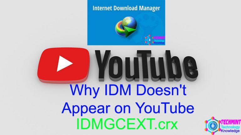 Why IDM Doesn't Appear on YouTube