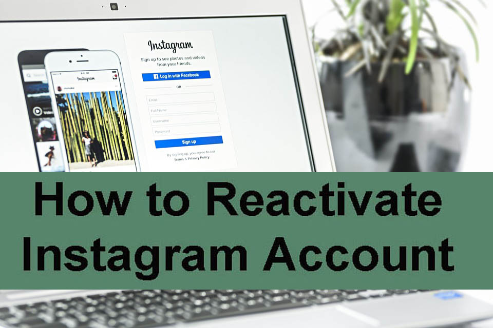 How to Reactivate Instagram Account