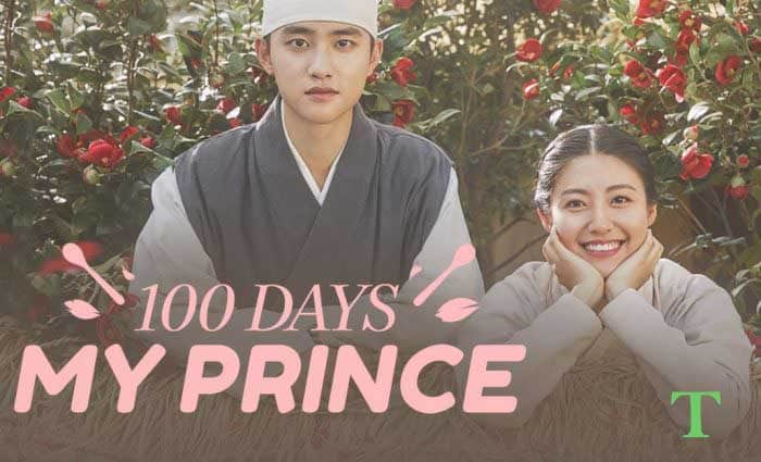 100 DAYS MY PRINCE