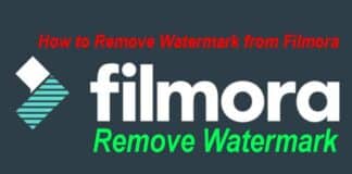 How to Remove Watermark from Filmora