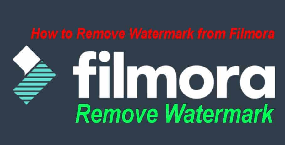 How to Remove Watermark from Filmora
