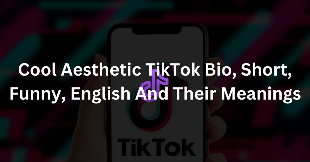 Cool Aesthetic TikTok Bio, Short, Funny, English And Their Meanings