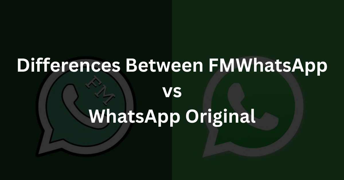 Differences Between FMWhatsApp vs WhatsApp Original