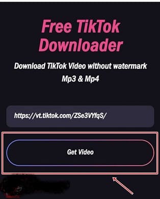 Download TikTok Via Tikdown.org 1