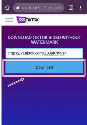 SSSTik.io TikTok Video Download Site