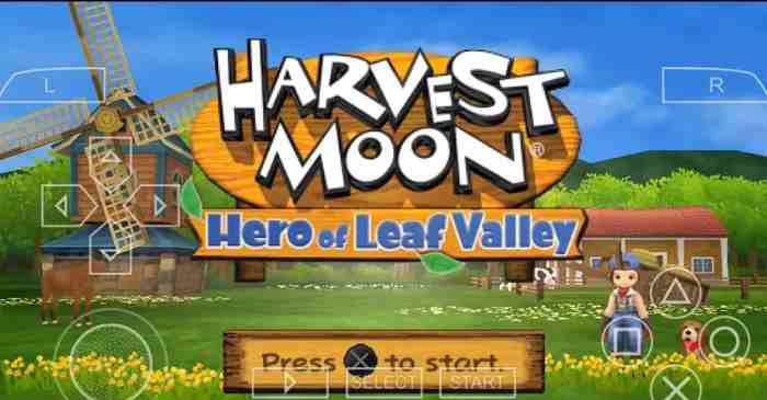 Harvest Moon Hero of Leaf Valley